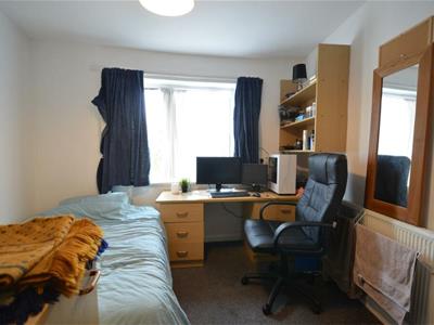 Picture 4